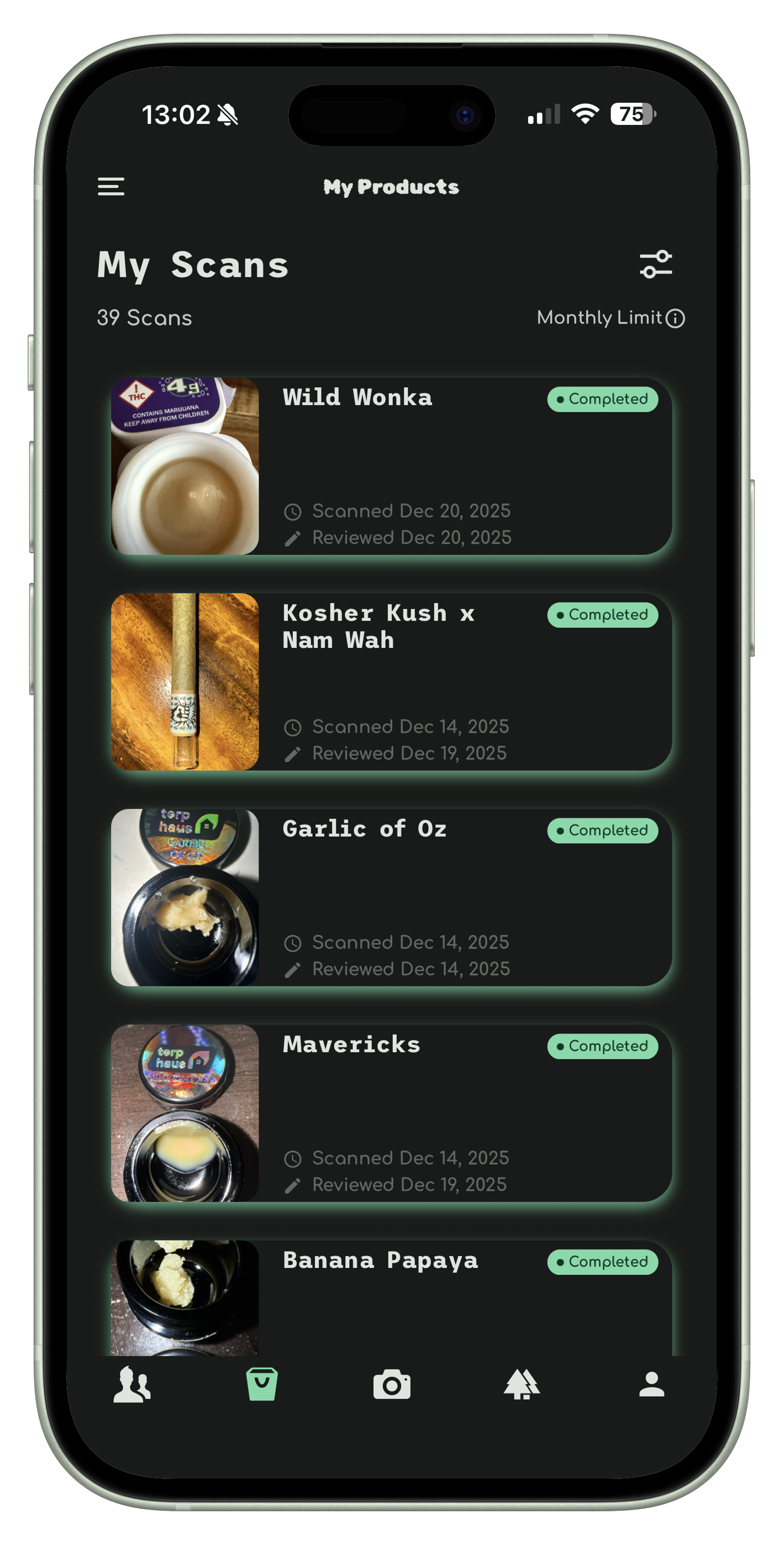 GREENT Private Scans