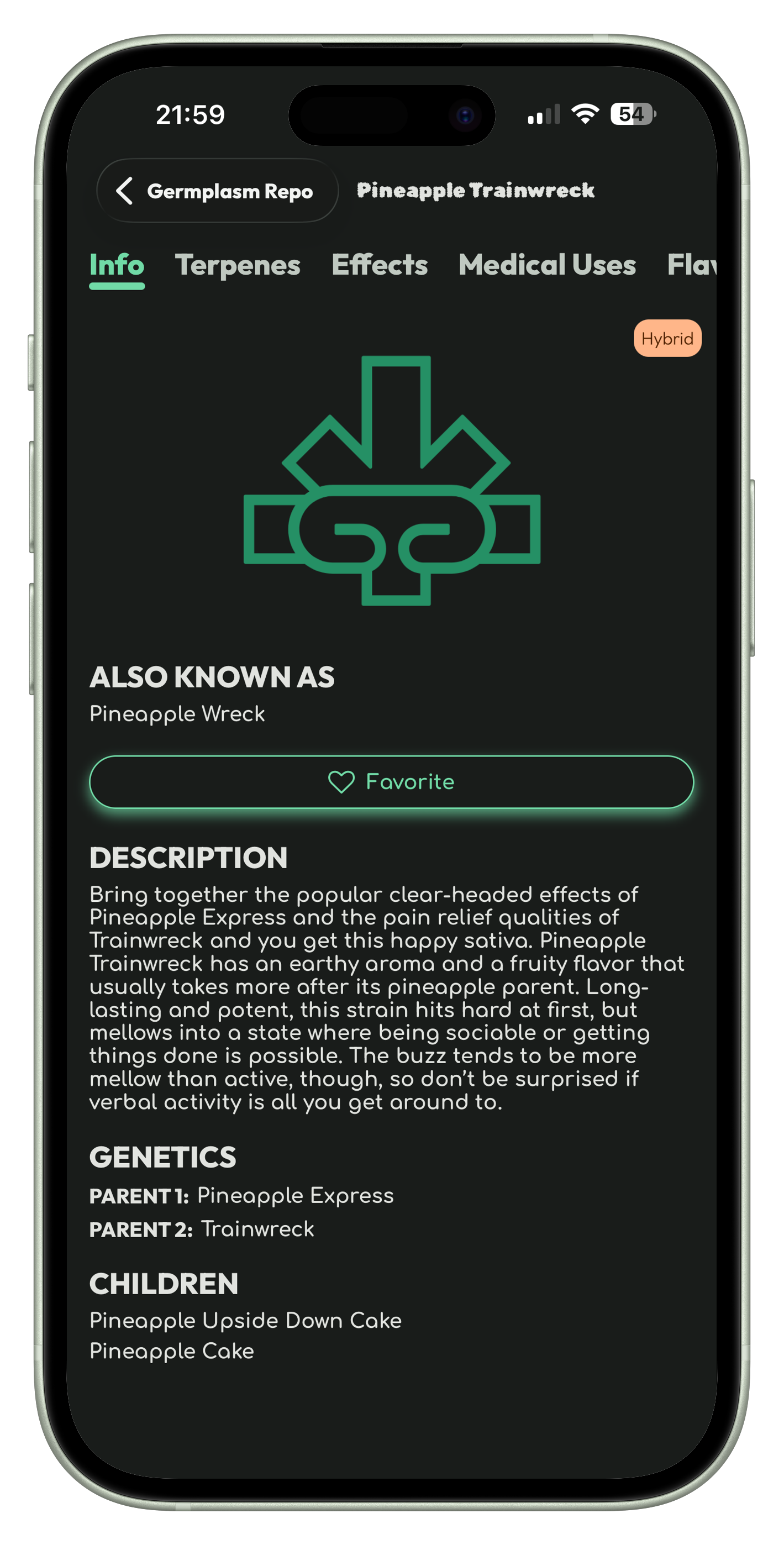 Terpenes, effects, flavors, and more